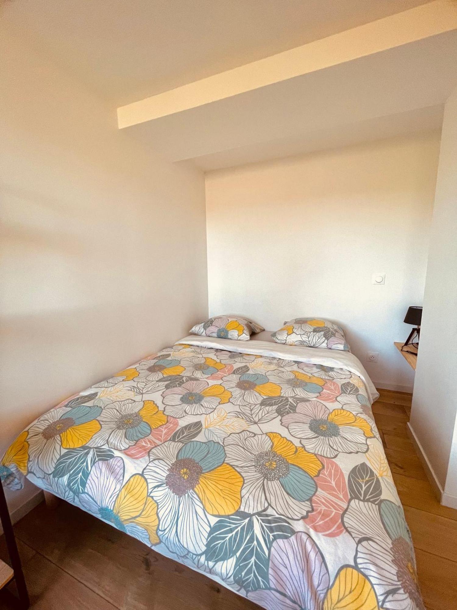Apartment T1 Bis Renove Au Centre D'auch *