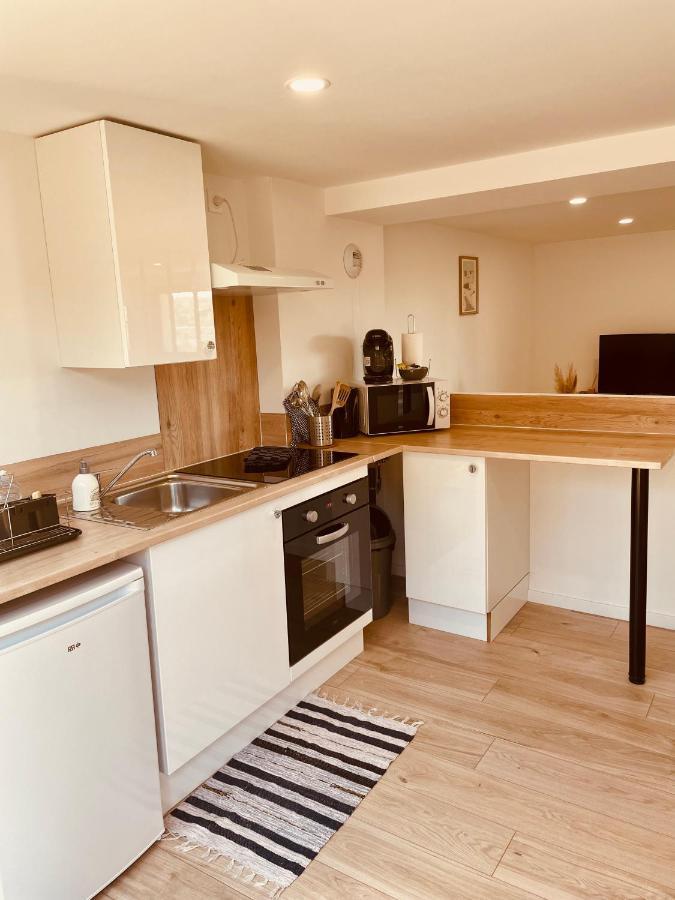 T1 Bis Renove Au Centre D'auch Appartement